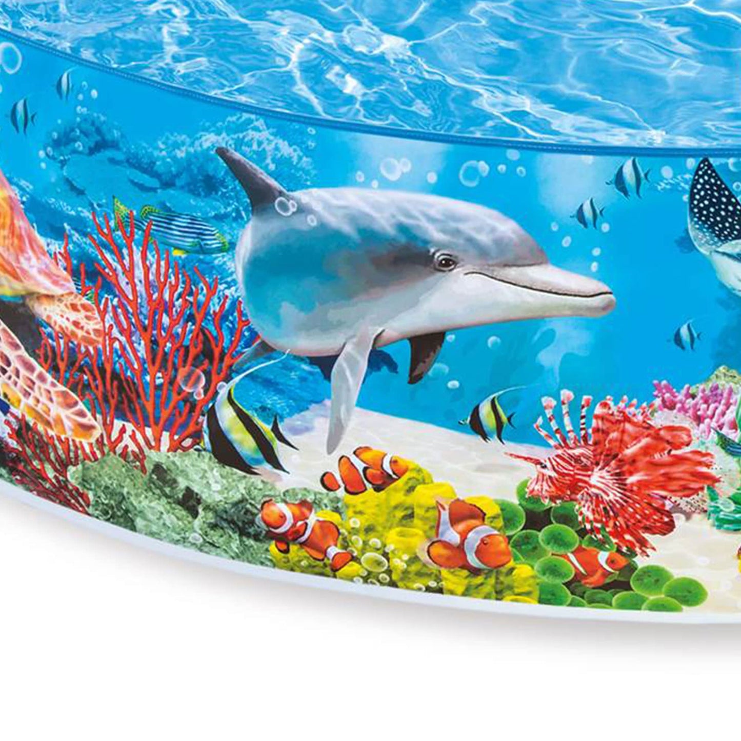 Buy Intex 5 Feet x 18 Inch SnapSet Instant Round Plastic Above Ground Swimming Kiddie Pool | Sam's Toys world Ahmedabad Intex Sams toy world shop in Ahmedabad Gujarat