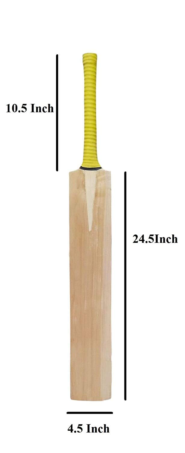 New T-20 Formate Plain Kashmiri Willow Scoop Cricket BAT | USE for Hard Tennis ball | Sam's Sports Ahmedabad