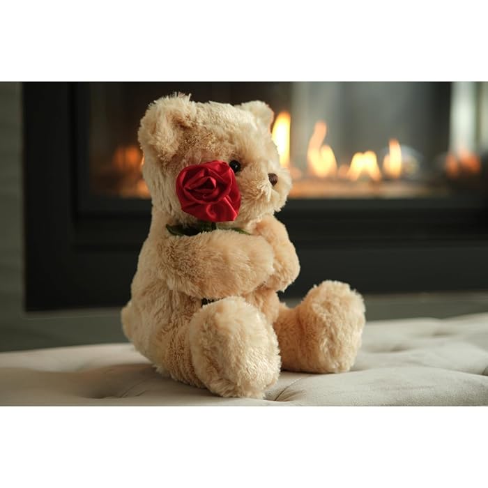 The Teddy Bear, 9.5 Inch Valentine's Day Stuffed Animal, Ideal Valentine's Gift for Kids & Girlfriends | Sam's World Ahmedabad