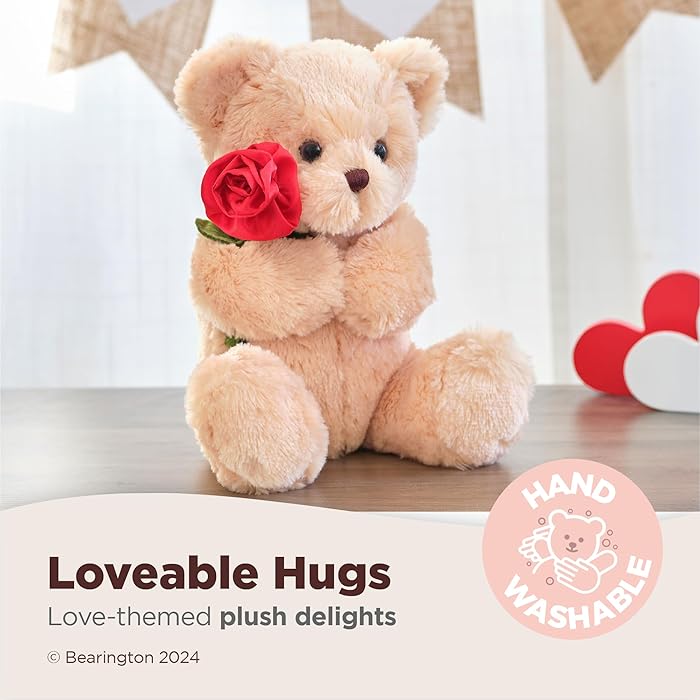 The Teddy Bear, 9.5 Inch Valentine's Day Stuffed Animal, Ideal Valentine's Gift for Kids & Girlfriends | Sam's World Ahmedabad