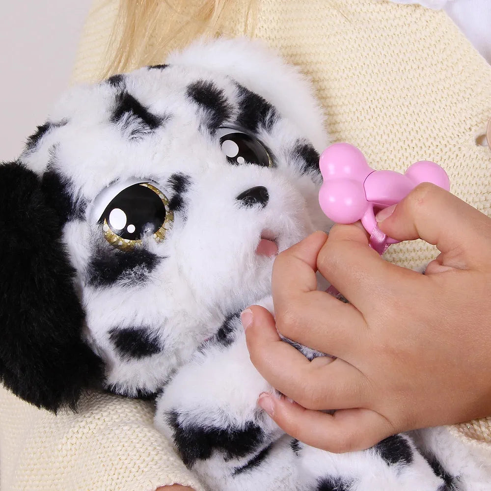 Baby Paws Dalmatian | Sams world | in store Ahmedabad