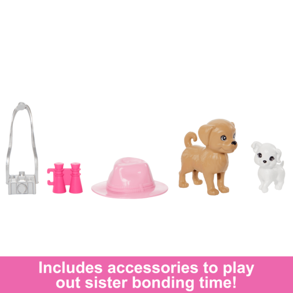 Barbie & Stacie Sister Doll Set With 2 Pet Dogs & Accessories samstoy.in