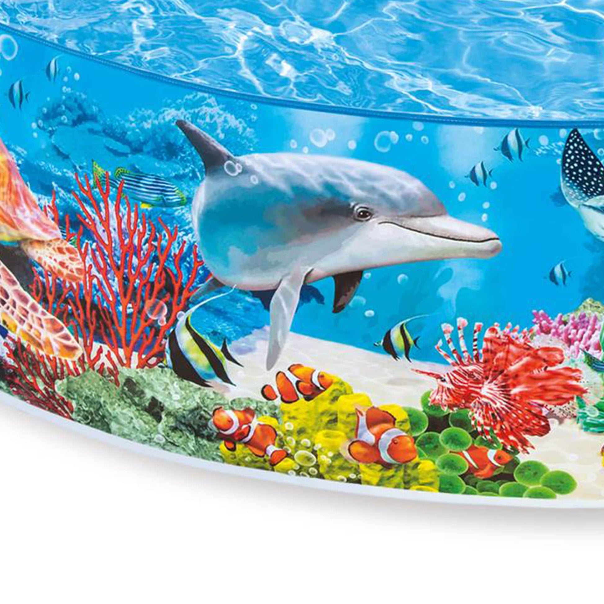 Intex kiddie pool Ahmedabad at Sam's Toy World Shop, colorful underwater design, perfect for summer fun